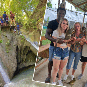 Waterfalls and monkeys combined