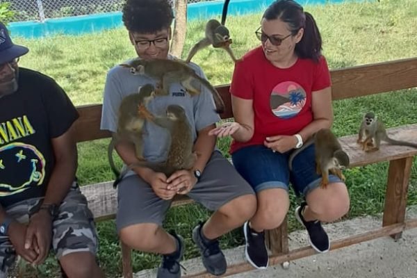 40d7a095-4c07-4f29-b85b-4fc9f52f8f4f