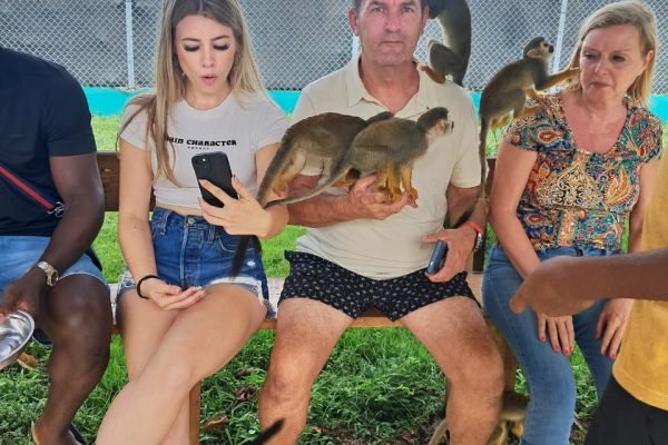 653f9c0e-394e-4859-8ccf-e8b37809fd8a