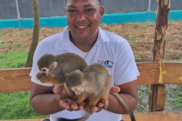 6f606709-5334-4509-a46a-cde7717ad7eb