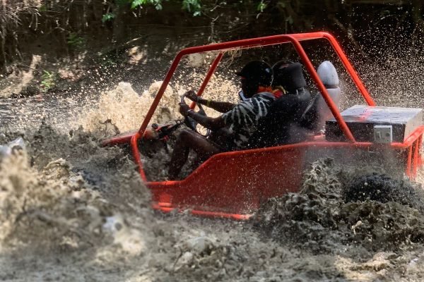 WhatsApp Image 2025-11-22 at 12.36.41 PM