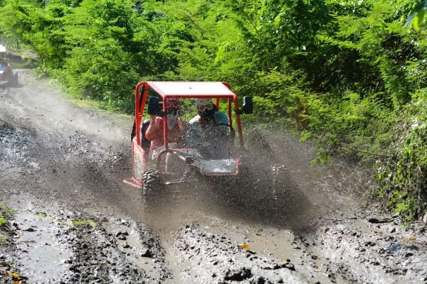 WhatsApp Image 2025-11-22 at 12.36.42 PM (1)