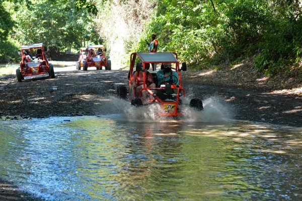 WhatsApp Image 2025-11-22 at 12.36.42 PM