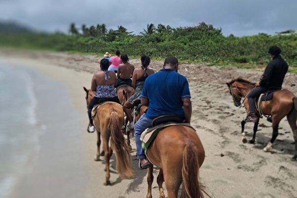 WhatsApp Image 2025-11-22 at 12.47.19 PM