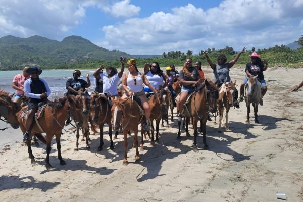 WhatsApp Image 2025-11-22 at 12.47.22 PM