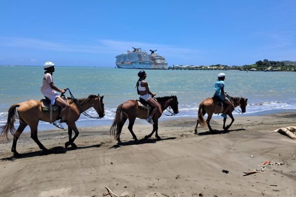 WhatsApp Image 2025-11-22 at 12.47.27 PM