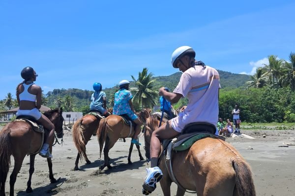 WhatsApp Image 2025-11-22 at 12.47.45 PM (1)