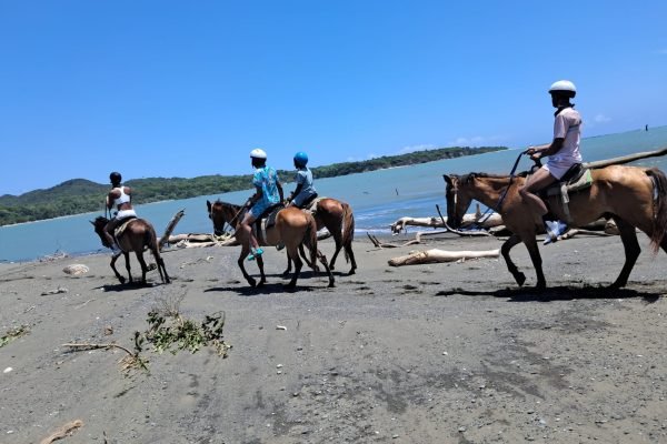 WhatsApp Image 2025-11-22 at 12.47.46 PM