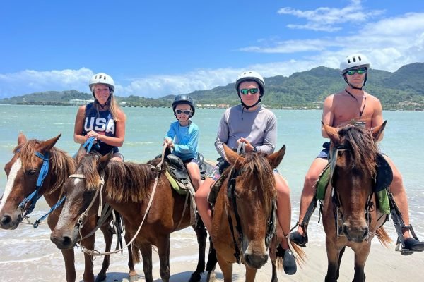 WhatsApp Image 2025-11-22 at 12.47.47 PM