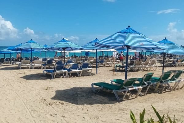 WhatsApp Image 2025-11-28 at 5.36.40 PM (1)