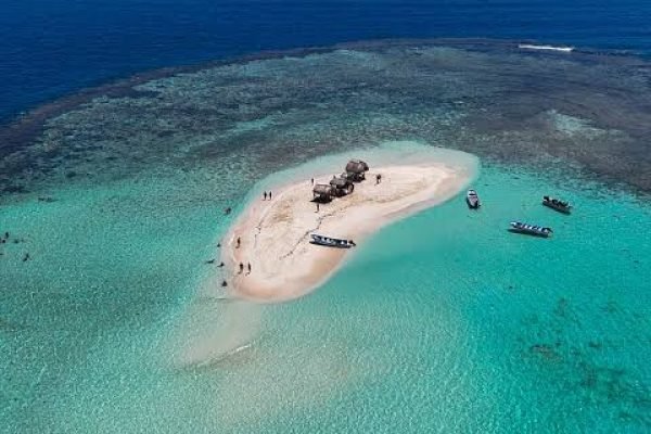 WhatsApp Image 2025-11-29 at 10.25.50 PM (1)