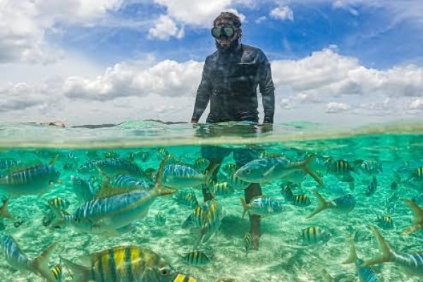 WhatsApp Image 2025-11-29 at 10.25.50 PM (3)