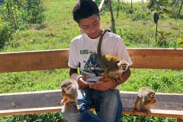 dd3017fd-7d14-4f46-bd35-ab5e59baabe9